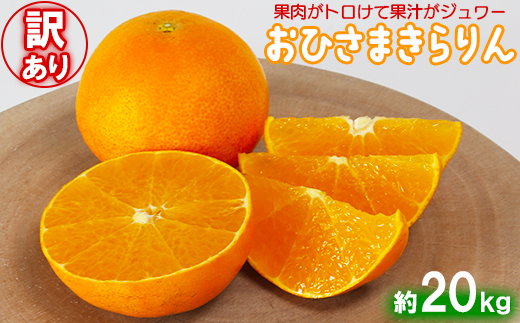 【訳あり・優品】今村農園のおひさまきらりん 約20kg フルーツ みかん 果物 先行予約 ＜107-022_7＞ 20kg
