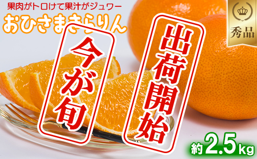 今村農園のおひさまきらりん 約2.5kg【秀品】 フルーツ みかん 果物 先行予約 ＜107-024_6＞ 2.5kg