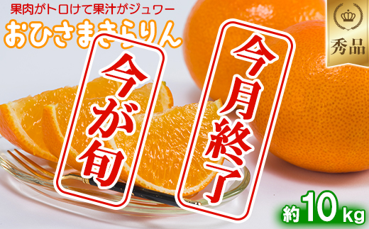 今村農園のおひさまきらりん 約10kg【秀品】 フルーツ みかん 果物 先行予約 ＜107-026_7＞ 10kg