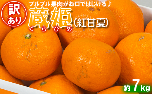 【訳あり・優品】今村農園の蔵姫くらひめ（紅甘夏） 約7kg フルーツ みかん 果物 先行予約 ＜107-030_7＞ 7kg