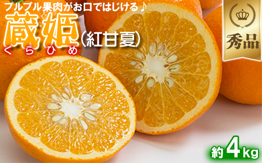 今村農園の蔵姫くらひめ（紅甘夏） 約4kg【秀品】 フルーツ みかん 果物 先行予約 ＜107-032_7＞ 4kg