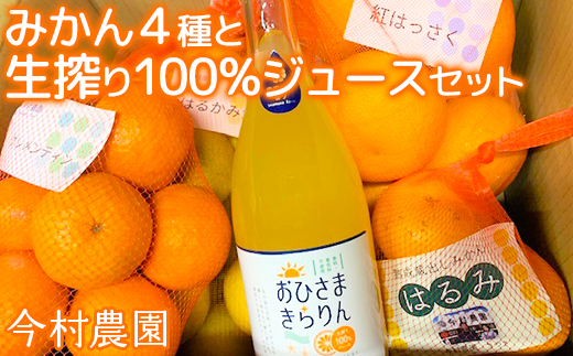今村農園のみかん4種（計約8kg）とおひさまきらりん 生搾り100%ジュースセット フルーツ みかん 果物 先行予約 ＜107-041_5＞
