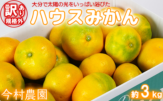 【訳あり・規格外品】今村農園のハウスみかん 約3kg＜107-001_7＞