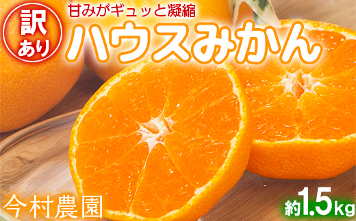 【訳あり・優品】今村農園のハウスみかん 約1.5kg＜107-002_7＞