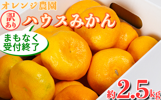 【訳あり品】オレンジ農園のハウスみかん 約2.5kg＜114-001_5＞