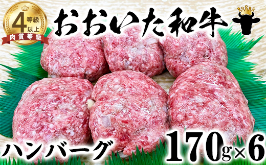 【12月25日決済分まで年内発送】 おおいた和牛 ハンバーグ（170g×6）【ニード牧場】年末 ＜129-002_5＞