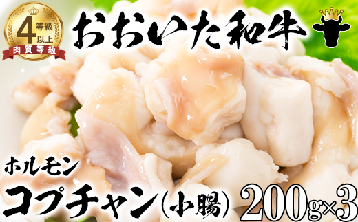 【12月25日決済分まで年内発送】 おおいた和牛ホルモン（コプチャン 200g×3）【ニード牧場】 ＜129-018_6＞