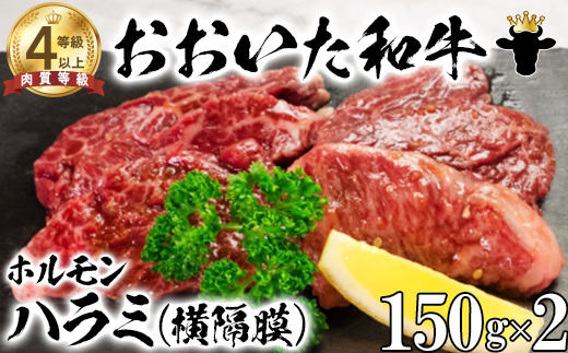 おおいた和牛ホルモン（ハラミ 150g×2） 【ニード牧場】 牛ハラミ肉 ＜129-022_6＞