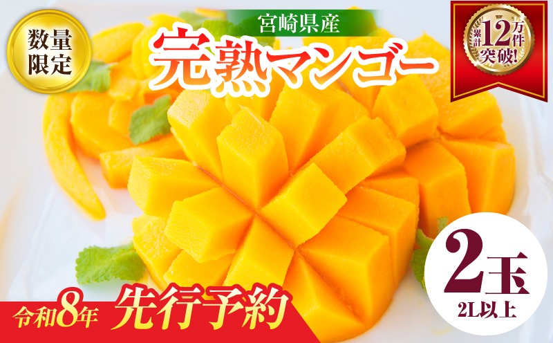 完熟マンゴー2L×2玉