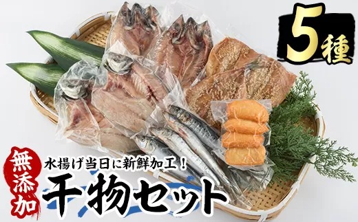 浜のかあちゃん 干物5種セット【浜のかあちゃん】_hama-1071