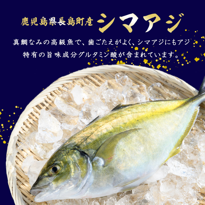 鹿児島県長島町産 シマアジ (約1.0kg・1匹) シマアジ 鹿児島 鮮魚 一匹 柵 刺身 切り身 高級あじ 高級魚【JFA】_jfa-7145
