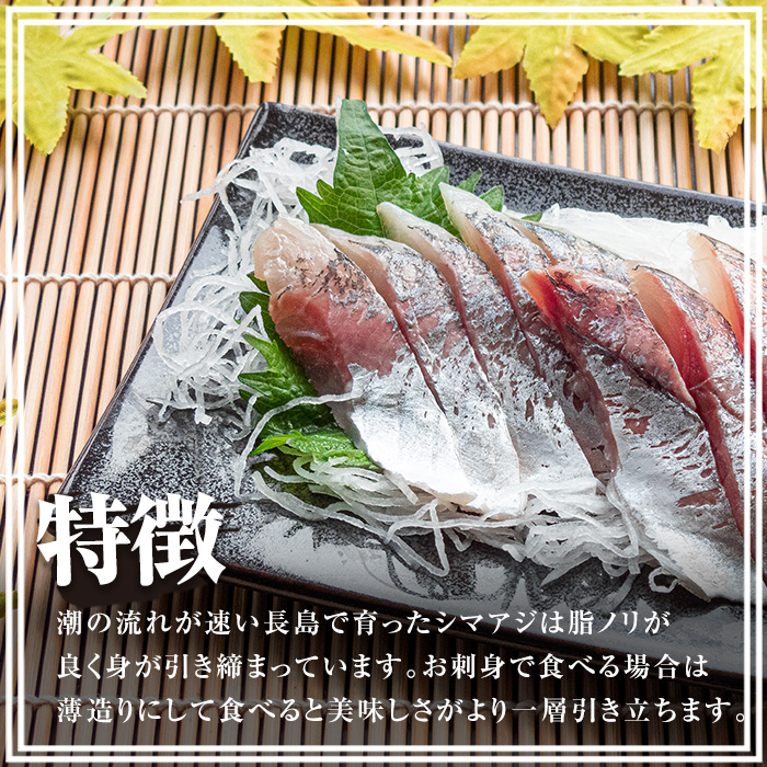鹿児島県長島町産 シマアジ (約1.0kg・1匹) シマアジ 鹿児島 鮮魚 一匹 柵 刺身 切り身 高級あじ 高級魚【JFA】_jfa-7145