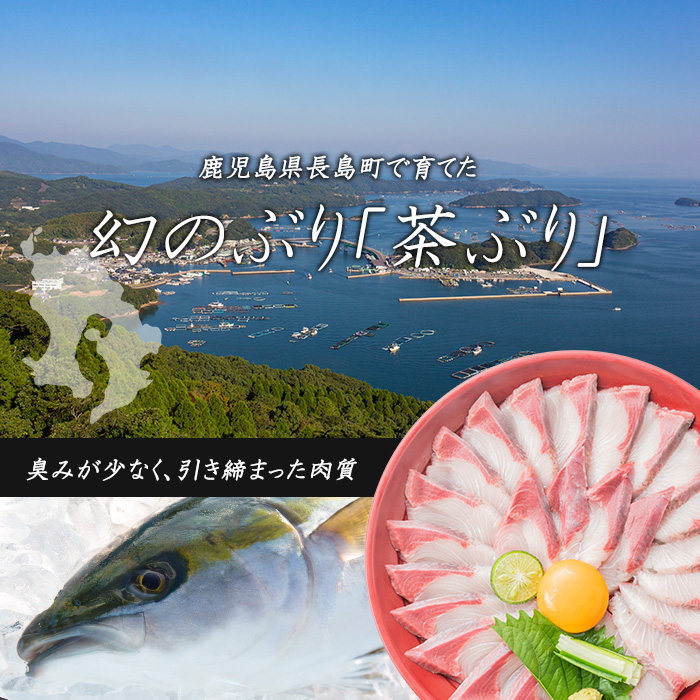 〈鹿児島県長島町産〉どん薩摩の 茶ぶりのお刺身セット（専用醤油付き・小）【株式会社Never Land】_never-7261