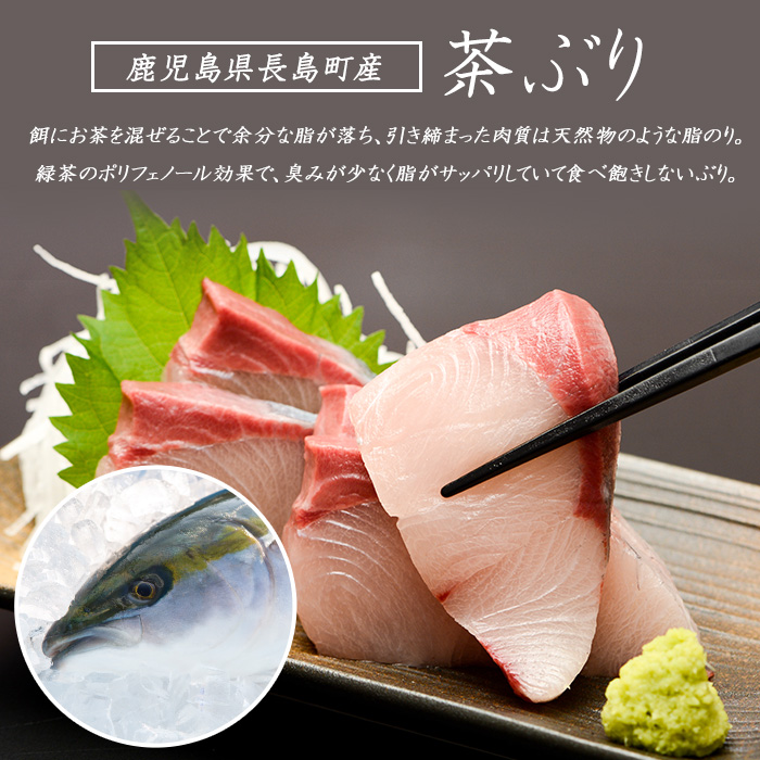 どん薩摩の茶ぶり入り海鮮ちらし丼回数券(24回分)【株式会社Never Land】_never-7271