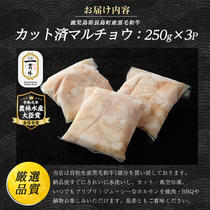 和牛カット済ホルモン（マルチョウ）250g×3パック 計750g ホルモン 牛肉 丸腸 焼肉 ホルモン 牛もつ もつ鍋 _f-miyaji-7028