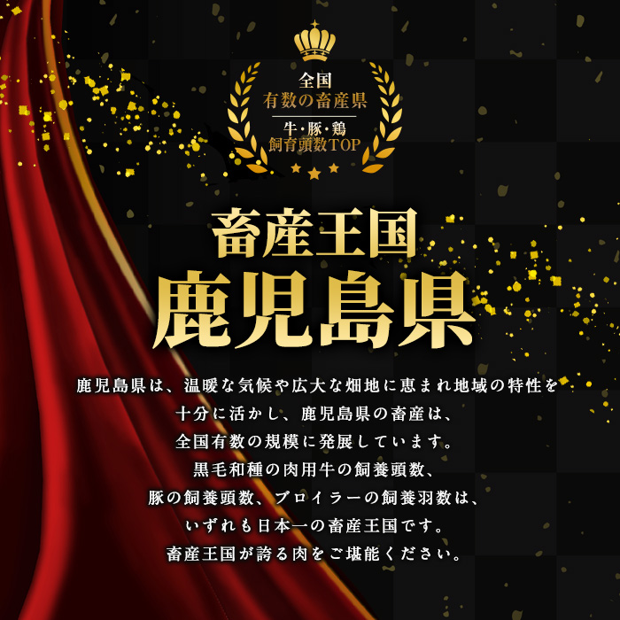 鹿児島県産黒毛和牛サーロインステーキ360ｇ（180ｇ×2P）_starzen-7301