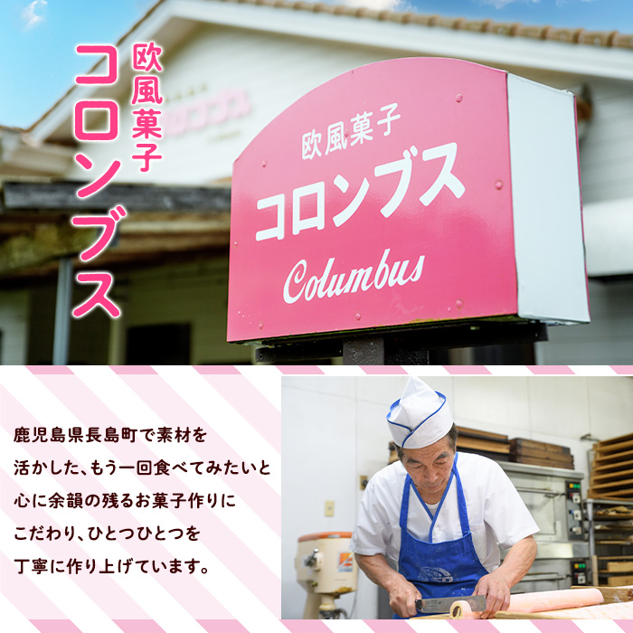 鹿児島県産島みかん使用 チーズケーキ(1ホール・直径15cm)【欧風菓子コロンブス】_coron-7015