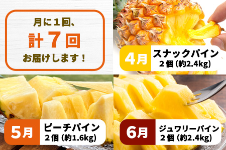  【マツコの知らない世界で絶賛！】《2025年4月以降発送》【先行予約】島のおいしいを贅沢に！大満足のパイナップル4種とマンゴー2種、シークワーサーの定期便【 沖縄 石垣 ピーチ ホワイトココ キーツ マンゴー パイン パイナップル シークワーサー 完熟 セット フルーツ デザート 食べ比べ 定期便 TV テレビ 紹介 マツコ 】 TF-40