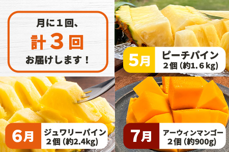 《2026年5月～7月順次発送》【先行予約】島のおいしいを贅沢に！パイナップル2種とマンゴー1種のよくばり定期便【 沖縄 石垣 ピーチ マンゴー パイン パイナップル 完熟 セット フルーツ デザート 食べ比べ 定期便 】 TF-38_R8
