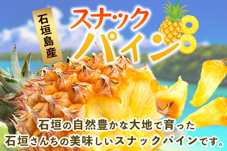 【先行予約】《2026年5月上旬頃より順次発送》石垣島産 スナックパイン (6玉 約6kg) 【 産地直送 沖縄 石垣 パイナップル フルーツ 】TP-9-1 6玉（約6kg）