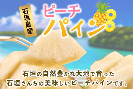 【先行予約】 《2026年5月上旬頃より順次発送》石垣島産 ピーチパイン (6玉 約5kg)【 産地直送 沖縄 石垣 パイナップル フルーツ 】石垣さんちの石垣トロピカルファーム TP-12 6玉 約5kg
