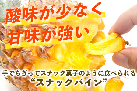 【先行予約】《2026年5月上旬頃より順次発送》石垣島産 スナックパイン (6玉 約6kg) 【 産地直送 沖縄 石垣 パイナップル フルーツ 】TP-9-1 6玉（約6kg）
