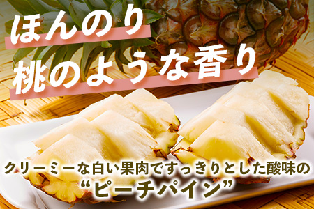 【先行予約】 《2026年5月上旬頃より順次発送》石垣島産 ピーチパイン (6玉 約5kg)【 産地直送 沖縄 石垣 パイナップル フルーツ 】石垣さんちの石垣トロピカルファーム TP-12 6玉 約5kg