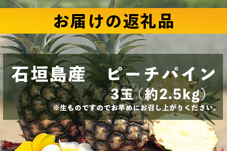 【先行予約】《2026年5月上旬頃より順次発送》石垣島産 ピーチパイン (3玉 約2.5kg) 【 産地直送 沖縄 石垣 パイナップル フルーツ 】石垣さんちの石垣トロピカルファーム TP-10 3玉 約2.5kg