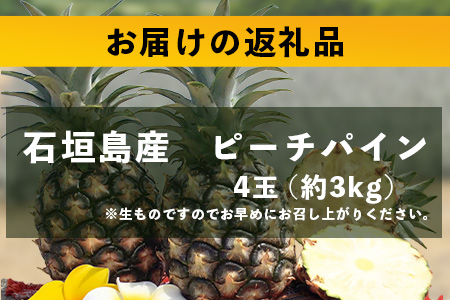 【先行予約】《2026年5月上旬頃より順次発送》石垣島産 ピーチパイン (4玉 約3kg) 【 産地直送 沖縄 石垣 パイナップル フルーツ 】石垣さんちの石垣トロピカルファーム TP-11 4玉 約3kg