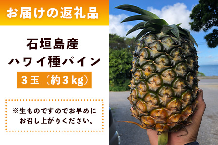 【先行予約】《2026年6月上旬頃より順次発送》石垣島産 ハワイ種 パイン (3玉 約3㎏) 【 産地直送 沖縄 石垣 パイナップル フルーツ 】石垣さんちの石垣トロピカルファーム TP-4 3玉（約3kg）