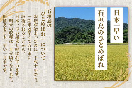 新米 石垣島のひとめぼれ 5kg AE-3-1