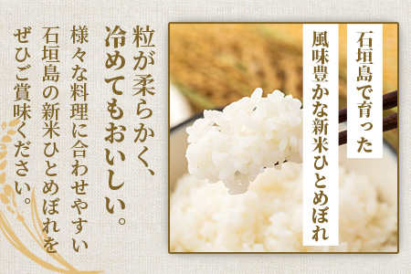 新米 石垣島のひとめぼれ 5kg AE-3-1