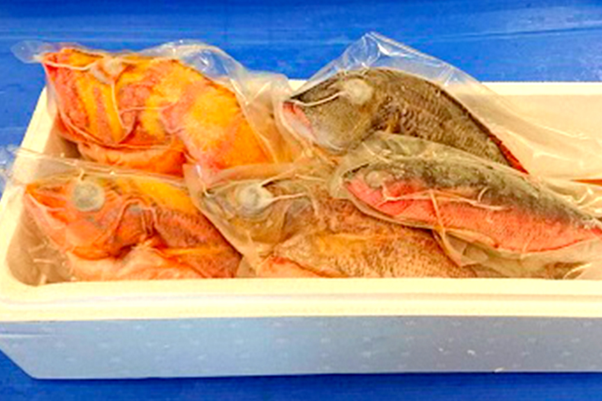 【産地直送】【漁師まちの鮮魚店厳選】おまかせ鮮魚セット（約2kg）