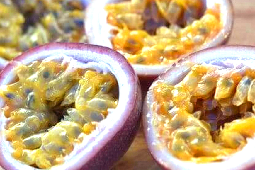 【2026年発送】こだわりの無農薬栽培パッションフルーツ1kg ＜贈答用＞ 8-5