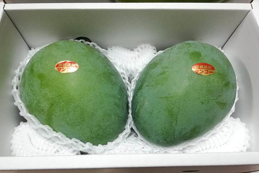 【2026年発送】濃厚な大人の味　沖縄県「キーツマンゴー」2kg 18-1