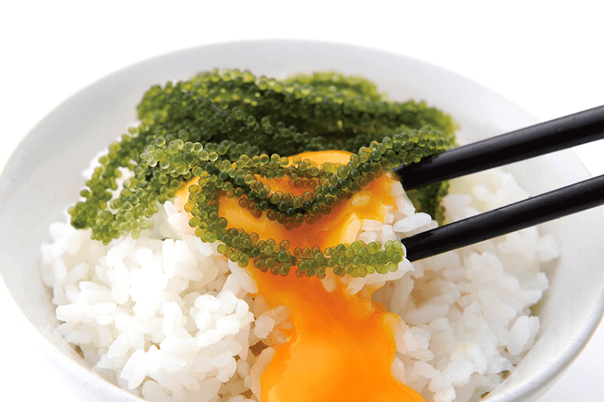 【訳あり】ぷちぷち海ぶどう小分けセット