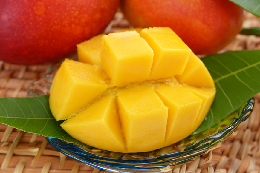 【2026年発送】おばぁーのマンゴー畑で育てたマンゴー2kg（秀品） 17-5