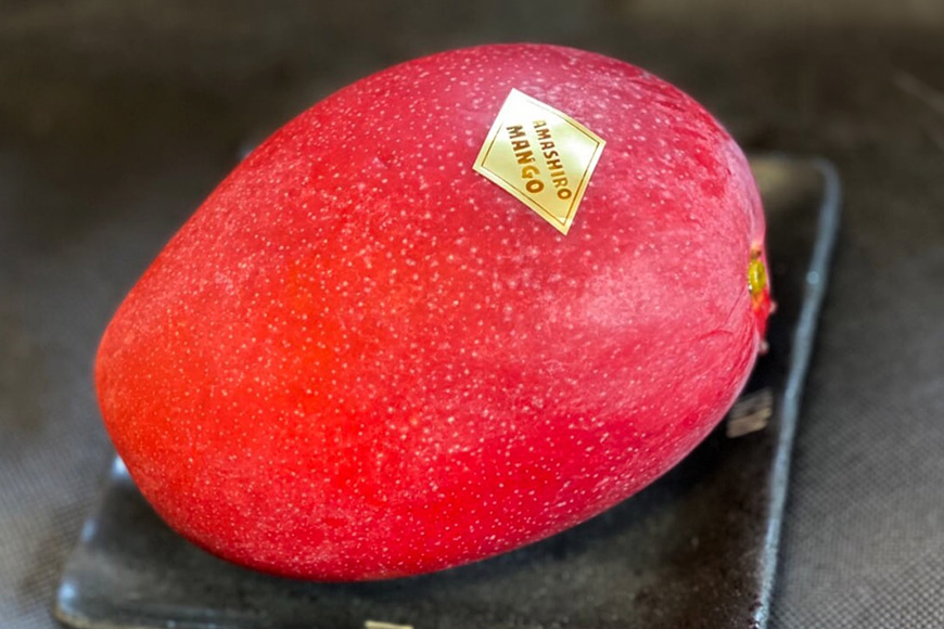 【2026年発送】沖縄県産マンゴー『極み。』2kg 山城マンゴー屋 102-4