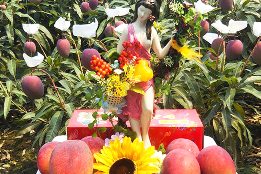 【2026年発送】伊敷さん家の美味しい完熟マンゴー1kg（ご家庭用） 41-3