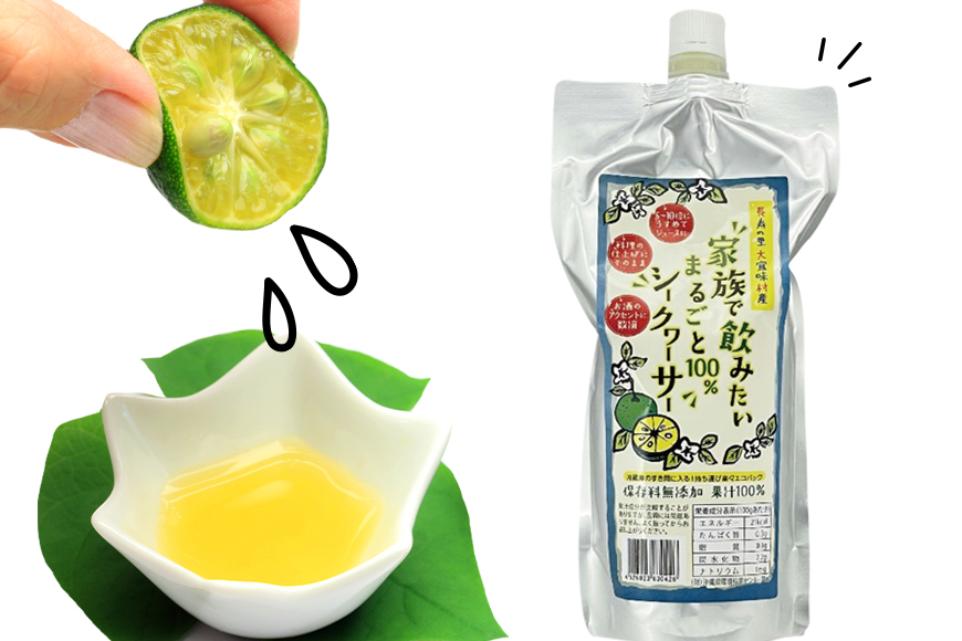 家族で飲みたいまるごと100％シークヮーサー500ml×2本(パウチタイプ）