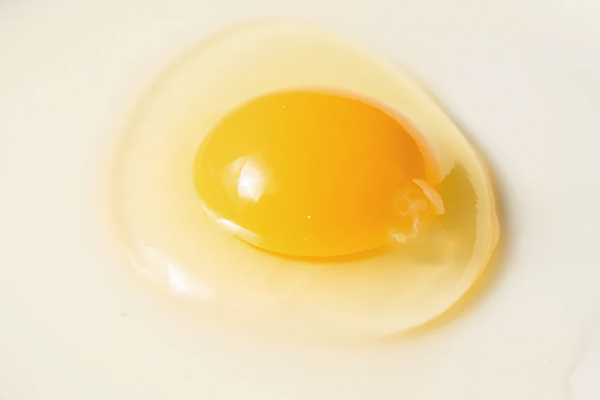 上原養鶏場のはっこう卵(アローカナ）S~Lサイズ 55個+破卵保障5個