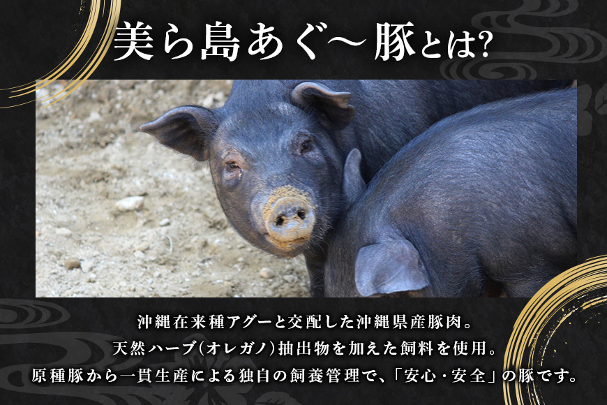 美ら島あぐー生ハム　計1.4kg（70g×20パック）