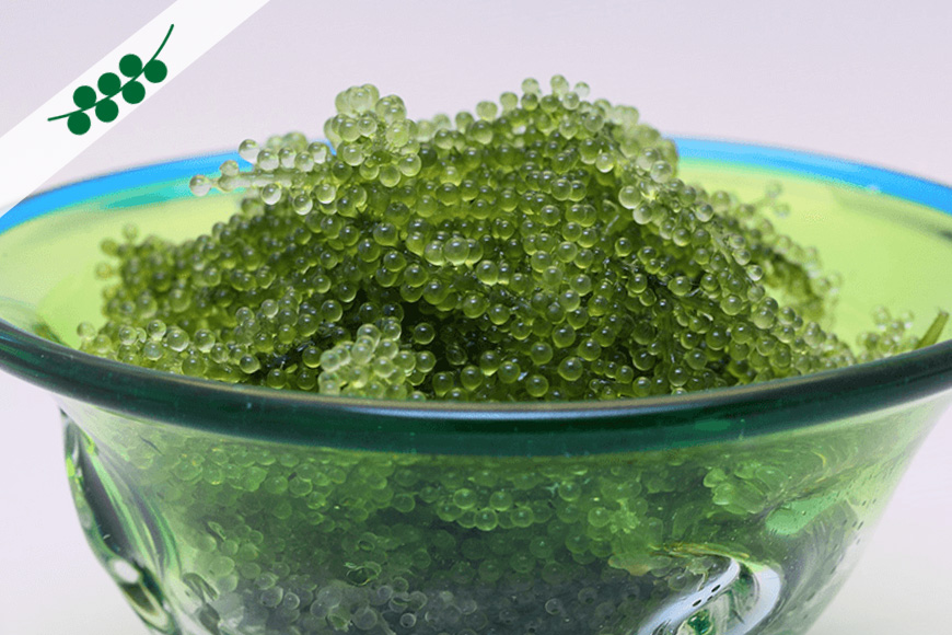 沖縄県産海ぶどうまぐろ丼セット