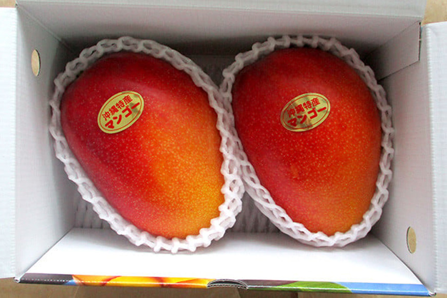 【2026年発送】高安マンゴー園　贈答用　F・Dマースマンゴー糸満　1kg（2～3玉）