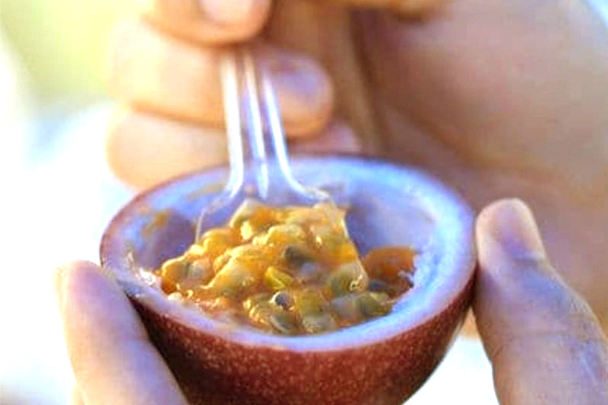 【2026年発送】こだわりの無農薬栽培パッションフルーツ3kg＜ご家庭用＞ 8-1