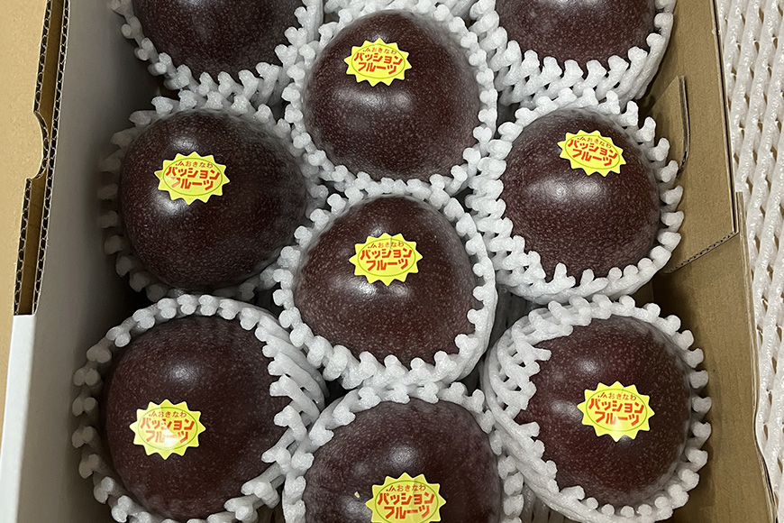 【2026年発送】JA糸満支店で厳選した「パッションフルーツ」贈答用　約1kg 5-4