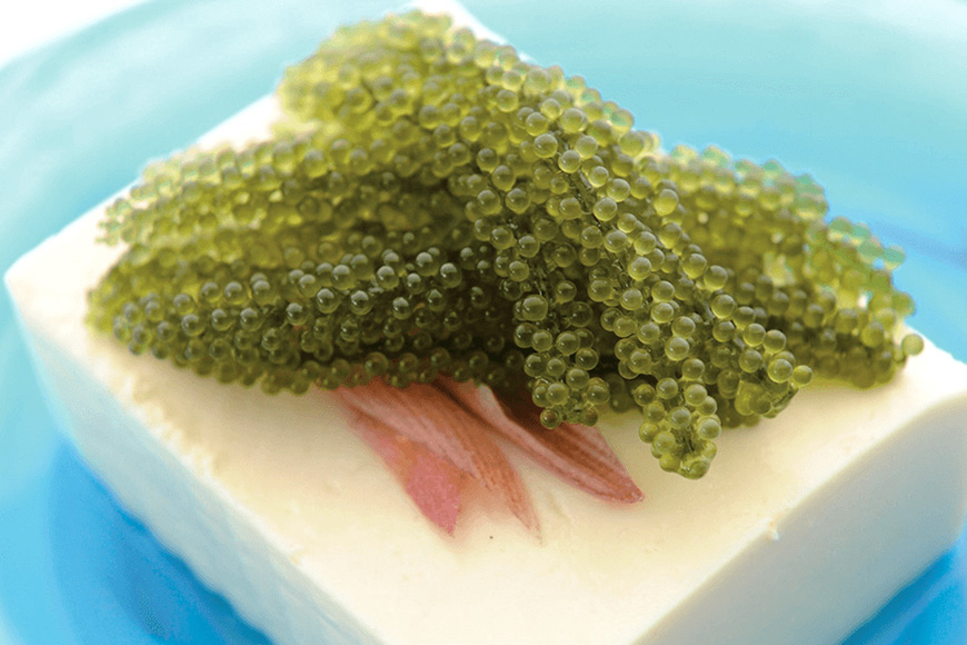 【訳あり】ぷちぷち海ぶどう小分けセット