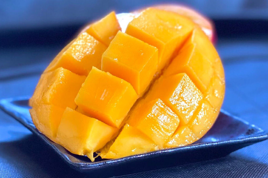 【2026年発送】沖縄県産マンゴー『極み。』2.5kg 山城マンゴー屋 102-3