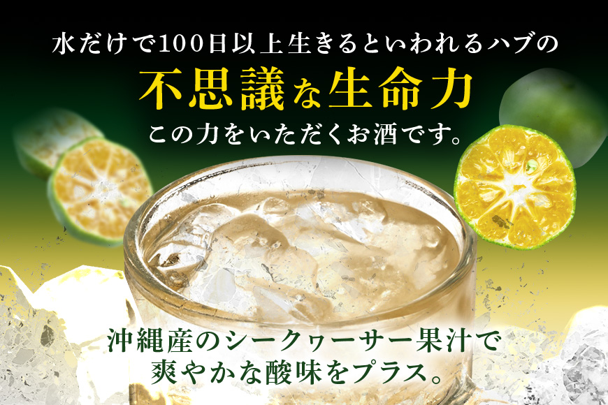 【沖縄生まれの新感覚ハイボール】琉球ハブボール　24缶セット