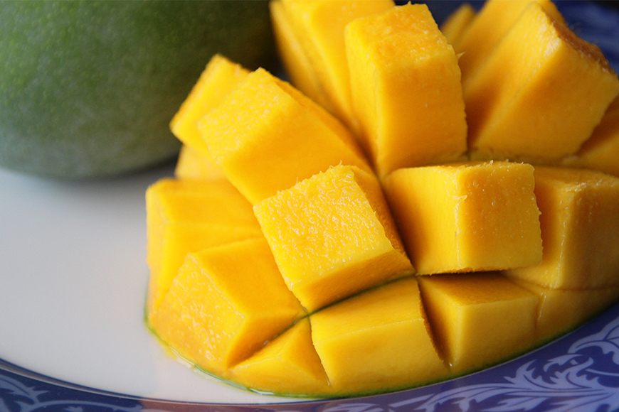 【2026年発送】おばぁーのマンゴー畑で育てたキーツマンゴー1.4kg（ご家庭用） 17-3